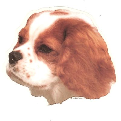 Double Sided Dog Decal Cavalier King Charles Spaniel Double Sided Dog Decal Cavalier King Charles Spaniel
