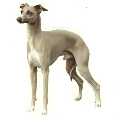 Double Sided Dog Decal Italian Greyhound Double Sided Dog Decal Italian Greyhound