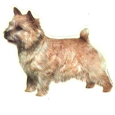 Double Sided Dog Decal Norwich Terrier Standing Double Sided Dog Decal Norwich Terrier Standing