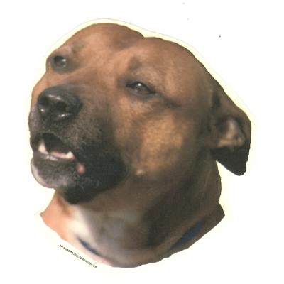 Double Sided Dog Decal Staffordshire Bull Terrier Red Double Sided Dog Decal Staffordshire Bull Terrier Red