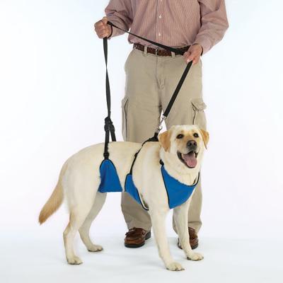 Lift and Lead Dog Harness Xlarge Click for larger image
