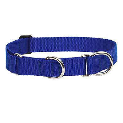 Lupine Martingale Dog Collar Blue 15-22-inch Click for larger image