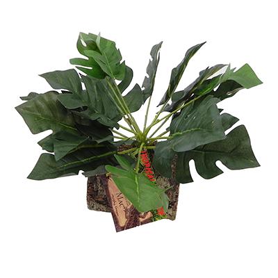 Tropical Terrace Large Split Leaf Philodendron Click for larger image