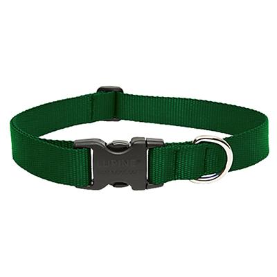 Lupine Nylon Dog Collar Adjustable Green 9-14 inch Click for larger image