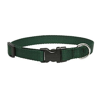 Lupine Nylon Dog Collar Adjustable Green 12-20 inch Click for larger image