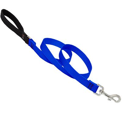 Lupine Nylon Dog Leash 6-foot x 3/4-inch Blue