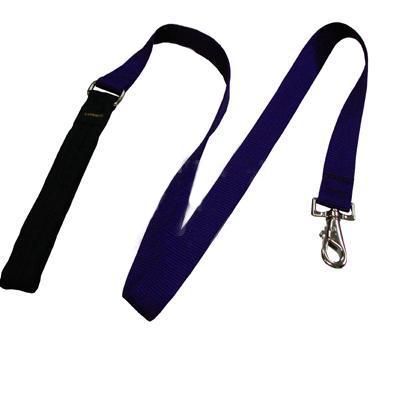 Lupine Nylon Dog Leash 4-foot x 1-inch Purple Click for larger image