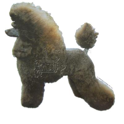 Double Sided Dog Decal Poodle Standard Double Sided Dog Decal Poodle Standard