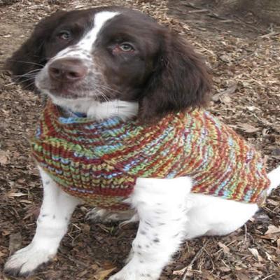 Handmade Dog Sweater Wool Vintage Knit XXXLarge Handmade Dog Sweater Wool Vintage Knit XXXLarge