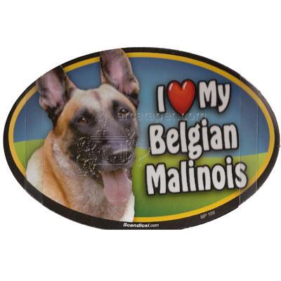 Dog Breed Image Magnet Oval Belgian Malinois