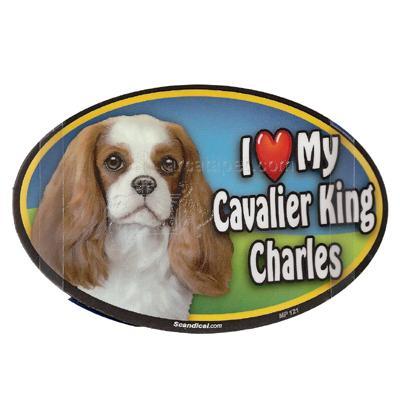 Dog Breed Image Magnet Oval Cavalier King Charles Spaniel