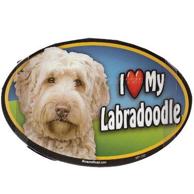 Dog Breed Image Magnet Oval Labradoodle Click for larger image