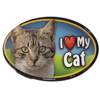 Cat Image Magnet Oval Tabby Cat Image Magnet Oval Tabby