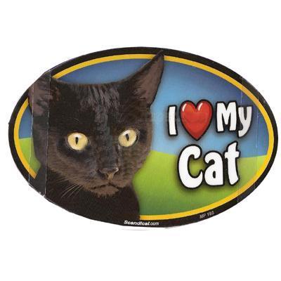 Cat Image Magnet Oval Black Cat Cat Image Magnet Oval Black Cat