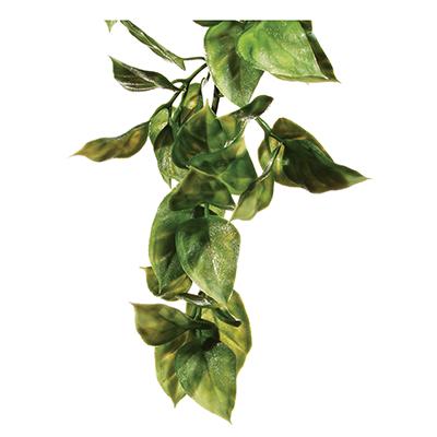Exo Terra Amapallo Terrarium Plant Medium Click for larger image Exo Terra Amapallo Terrarium Plant Medium Click for larger image