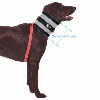 The Original BiteNot Dog Collar Size 4 Cone Alternative Click for larger image The Original BiteNot Dog Collar Size 4 Cone Alternative Click for larger image