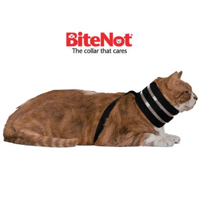 The Original BiteNot Cat Collar Large Cone Alternative Click for larger image The Original BiteNot Cat Collar Large Cone Alternative Click for larger image