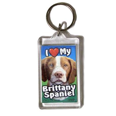 Plastic Keyring Brittany