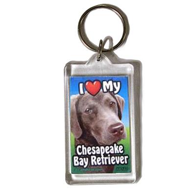 Plastic Keyring Chesapeake Retriever