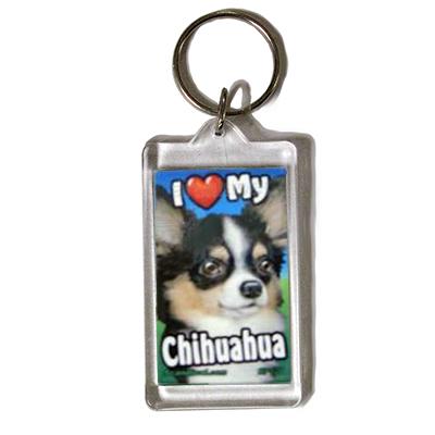 Plastic Keyring Chihuahua Long Haired Click for larger image
