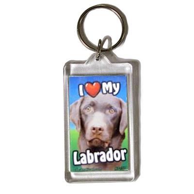 Plastic Keyring Chocolate Labrador 