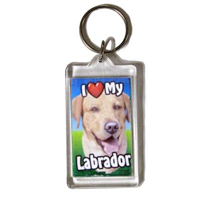 Plastic Keyring Yellow Labrador