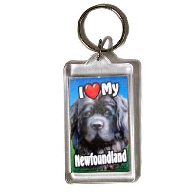 Plastic Keyring Newfoundland