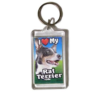 Plastic Keyring Rat Terrier