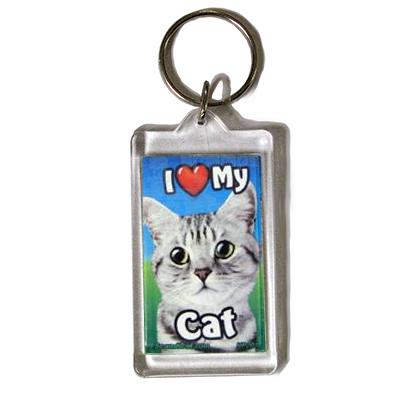 Plastic Keyring Cat Tabby Light