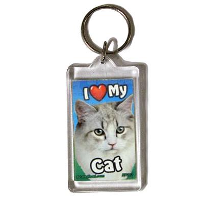 Plastic Keyring Cat Maine Coon Light