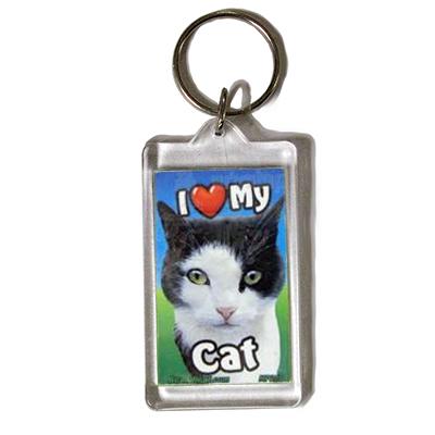 Plastic Keyring Cat Paint