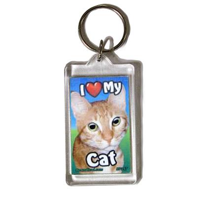 Plastic Keyring Cat Tabby Orange