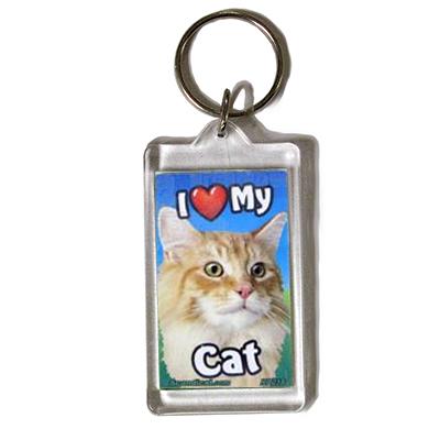 Plastic Keyring Cat Main Coon Orange