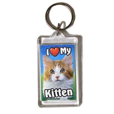 Plastic Keyring Kitten Mix Orange