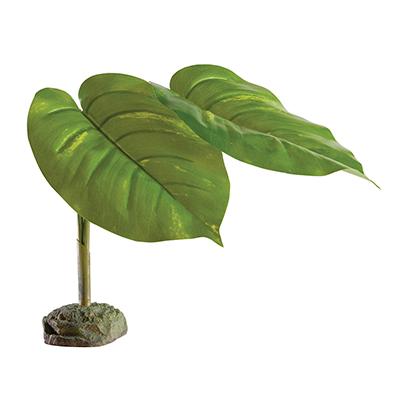 Exo Terra Scindapsus Tree Frog Terrarium Plant Exo Terra Scindapsus Tree Frog Terrarium Plant