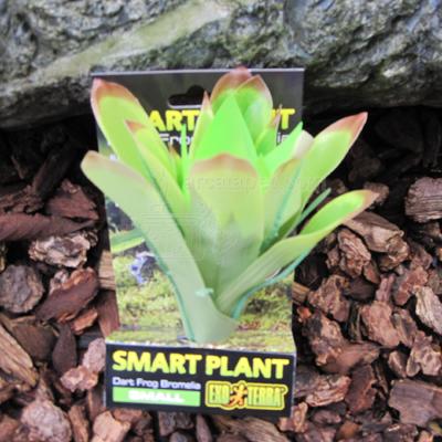Exo Terra Bromelia Small Tree Frog Terrarium Plant Exo Terra Bromelia Small Tree Frog Terrarium Plant