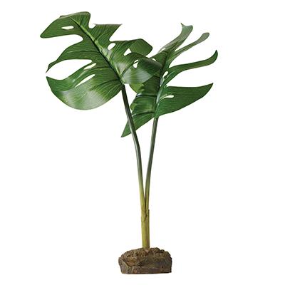 Exo Terra Philodendron Tree Frog Terrarium Plant Click for larger image Exo Terra Philodendron Tree Frog Terrarium Plant Click for larger image