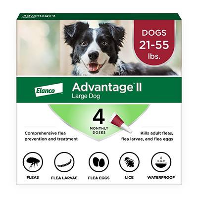 Bayer Advantage II Dog 21-55 lb 4 pack Click for larger image Bayer Advantage II Dog 21-55 lb 4 pack Click for larger image