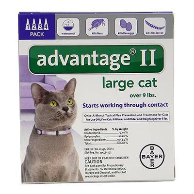 Bayer Advantage II Cat 10-18 pound 4-pack Flea Control Click for larger image