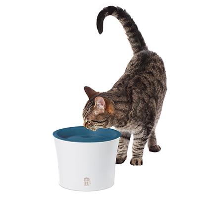 CatIt Sense Cat and Small Dog Drinking Fountain Click for larger image CatIt Sense Cat and Small Dog Drinking Fountain Click for larger image