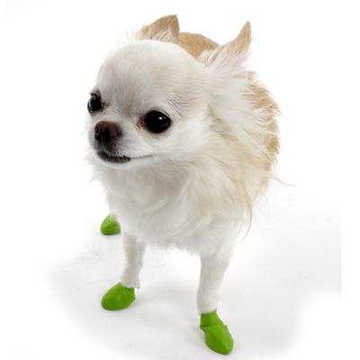 Pawz Natural Rubber Dog Boot Tiny 12pk Pawz Natural Rubber Dog Boot Tiny 12pk