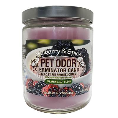 Pet Odor Eliminator Mulberry and Spice Candle Click for larger image