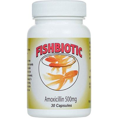Fishbiotics Amoxicillin Aquarium Antibiotic 500mg 30 ct Click for larger image