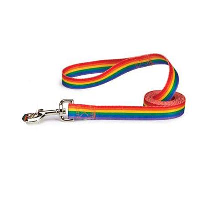 Casual Canine Rainbow Pride Dog Leash 4-foot x 5/8-inch Casual Canine Rainbow Pride Dog Leash 4-foot x 5/8-inch
