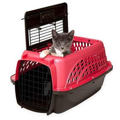 Petmate 2-Door Kennel Small Dog and Cat Carrier Petmate 2-Door Kennel Small Dog and Cat Carrier