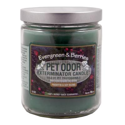 Pet Odor Eliminator Candle Evergreen-Seasonal Pet Odor Eliminator Candle Evergreen-Seasonal