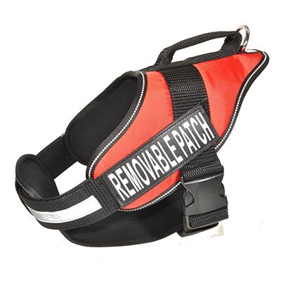 Alpha Multi Purpose Harness Red Medium Alpha Multi Purpose Harness Red Medium