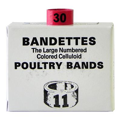 Poultry Numbered Leg Bands Red Size 11 Numbered 26-50 Click for larger image Poultry Numbered Leg Bands Red Size 11 Numbered 26-50 Click for larger image