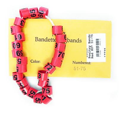Poultry Numbered Leg Bands Red Size 7 Numbered 51-75 Click for larger image Poultry Numbered Leg Bands Red Size 7 Numbered 51-75 Click for larger image