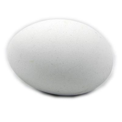 Ceramic Chicken Egg White for Laying Hens Click for larger image